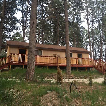 New Cabin 1 Car Rental Available 커스터 외부 사진